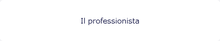 Il professionista